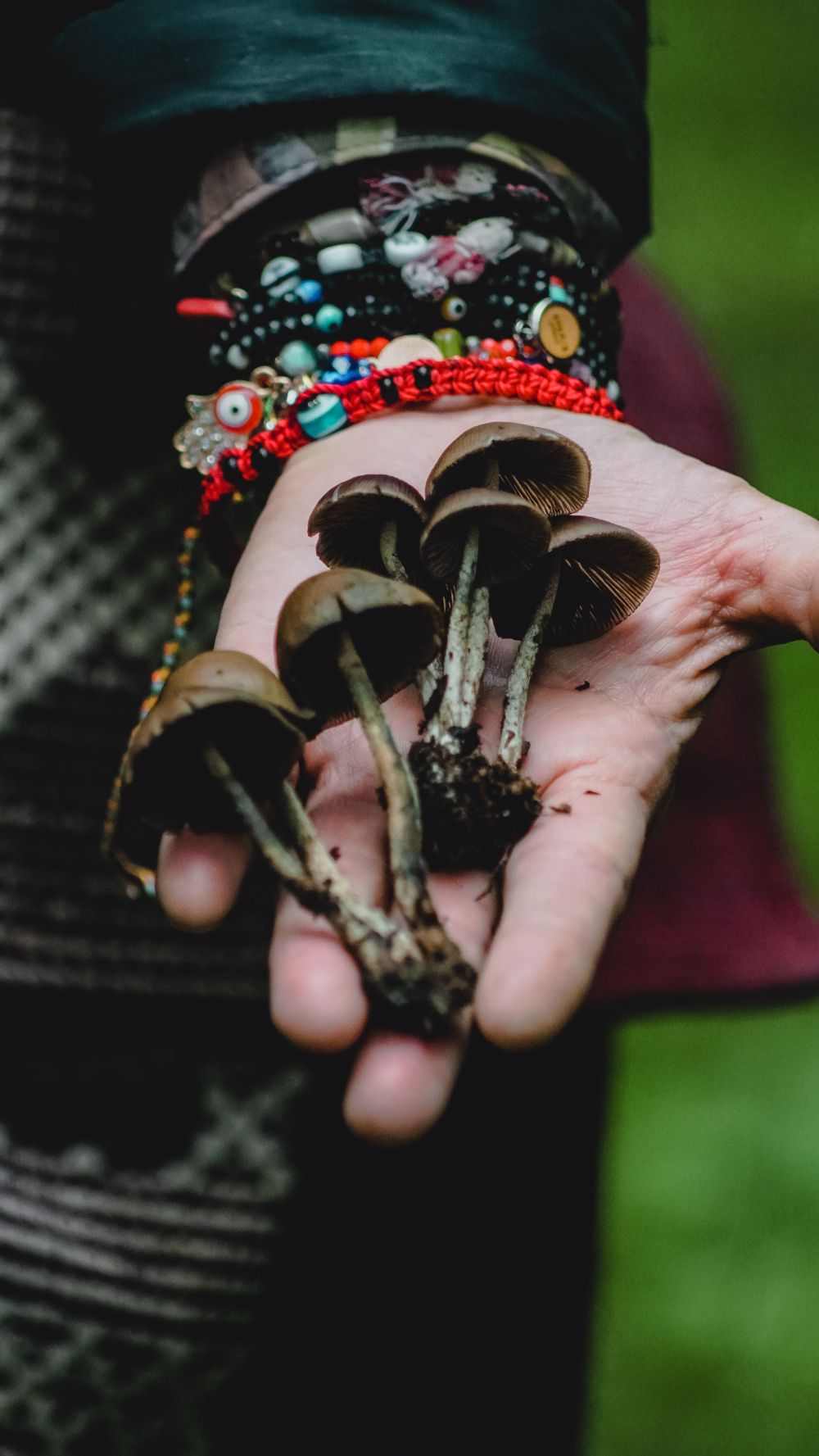 Psilocybin Dose Shows Lasting Effects on Suicidal Thoughts