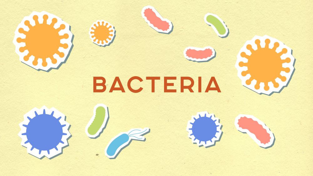CDC Tracks Cyclosporiasis Cases Across States