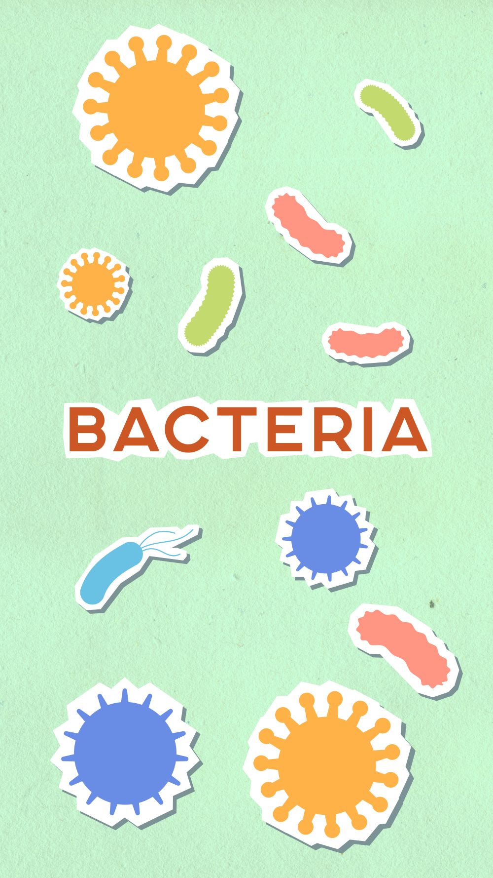 Gut Bacteria Byproduct Tied to Arrhythmia Risk
