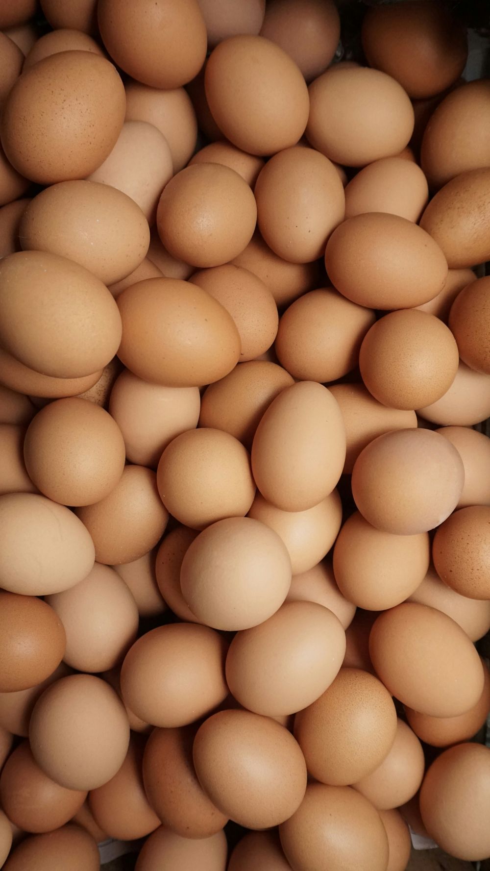 FDA Recalls Millions of Eggs Over Salmonella Contamination