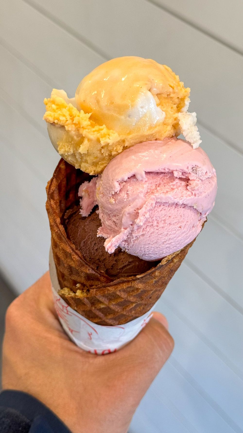 Rebel Creamery Files Bankruptcy After Packaging Judgment