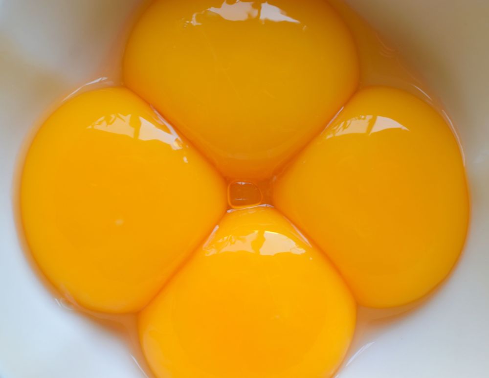 Egg Yolk Compounds Show Brain Cell Benefits