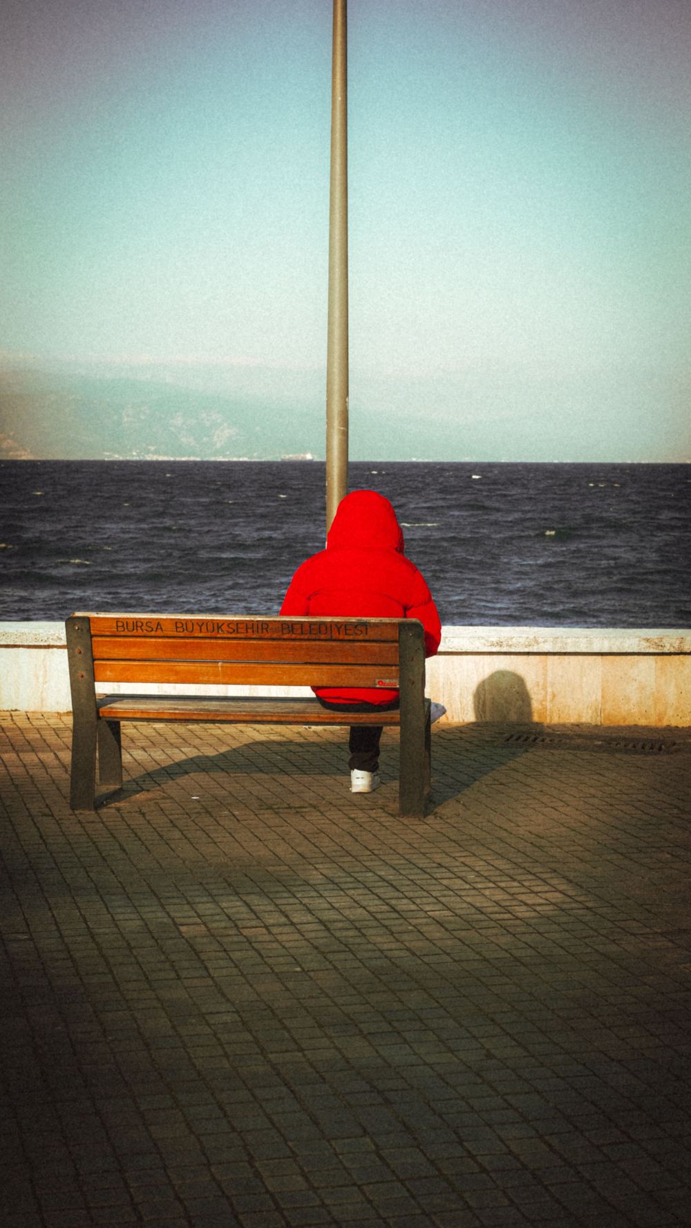 Loneliness Associated with Fewer Healthy Years