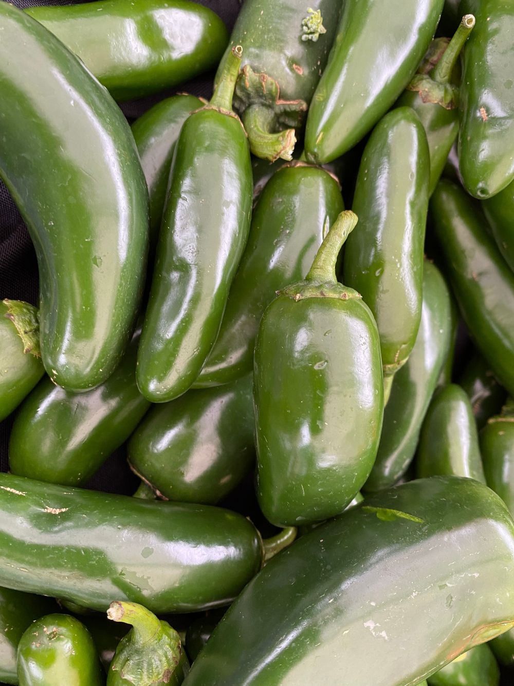 FDA Jalapeño Peppers Recall Expands to 27 States