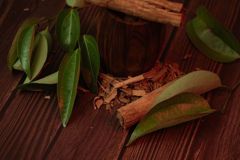 Ayahuasca Experience Linked with Better Mental Health