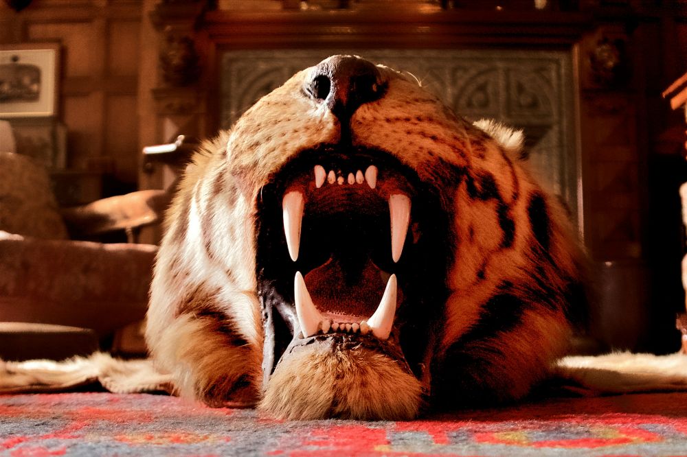 California Couple Sentenced in Protected Wildlife Trafficking Case