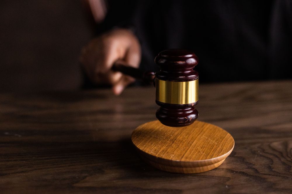 Illinois Woman Sentenced in Monkey Abuse Video Case